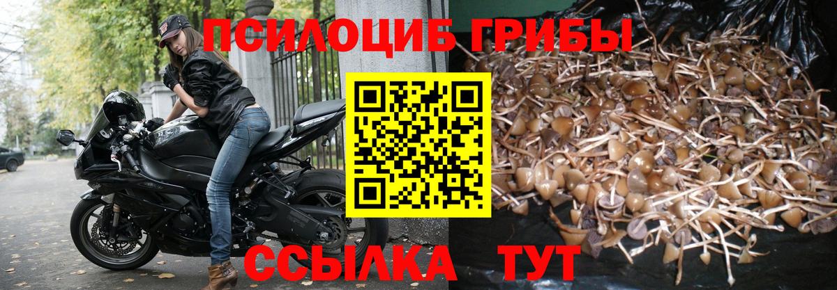 Псилоцибиновые грибы Psilocybe  Вход с VPN  Псилоцибиновые грибы Cubensis  Каспийск 